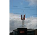 vue on a stick