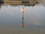 Deep Water on a Stick