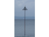 Seagull Onnastick