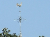 Weathercock