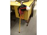 Horse on stick