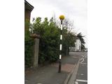 Zebra crossing globe lamps