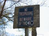Beware of Cow!