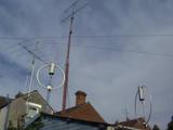 random thing on a stick image - click to enlarge
