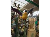 Ornamental parrot onnastick